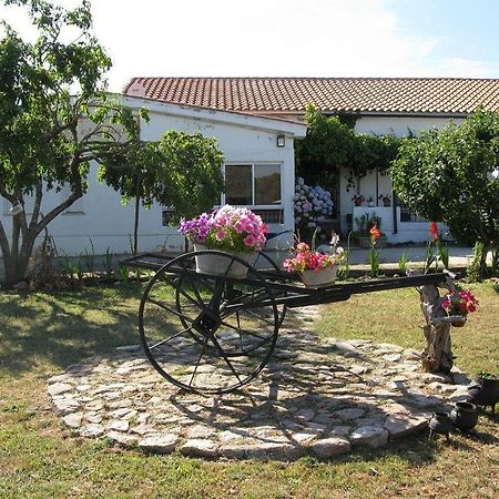 El Condado Casa Rural Fuentes de Onoro Ngoại thất bức ảnh